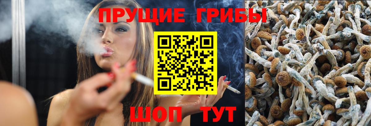 Галлюциногенные грибы ЛСД Юрга