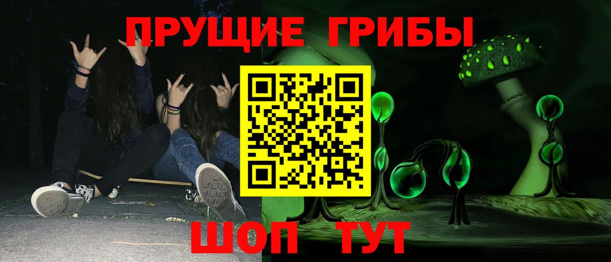 Юрга  Псилоцибиновые грибы GOLDEN TEACHER  Галлюциногенные грибы Psilocybine cubensis  Вход с VPN 